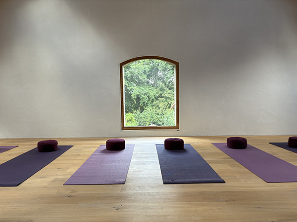 Yoga voor Jou yogales Nijmegen Oosterhout